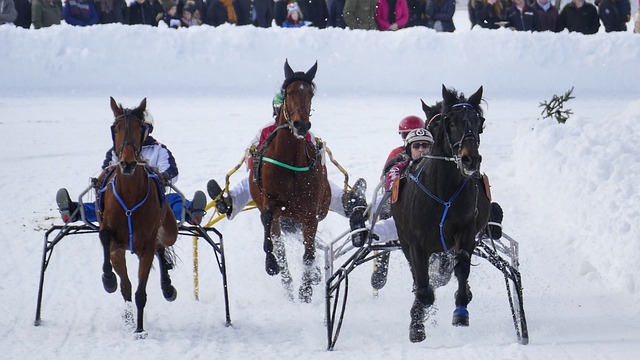 萨索洛2-2比萨，恩佐拉、马蒂奇破门，索尔茨维特读秒绝平
