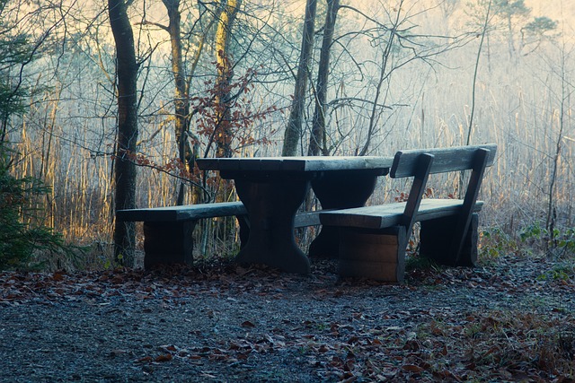 记者：多纳鲁马经纪人下周中会见巴黎高层，了解续约可能性